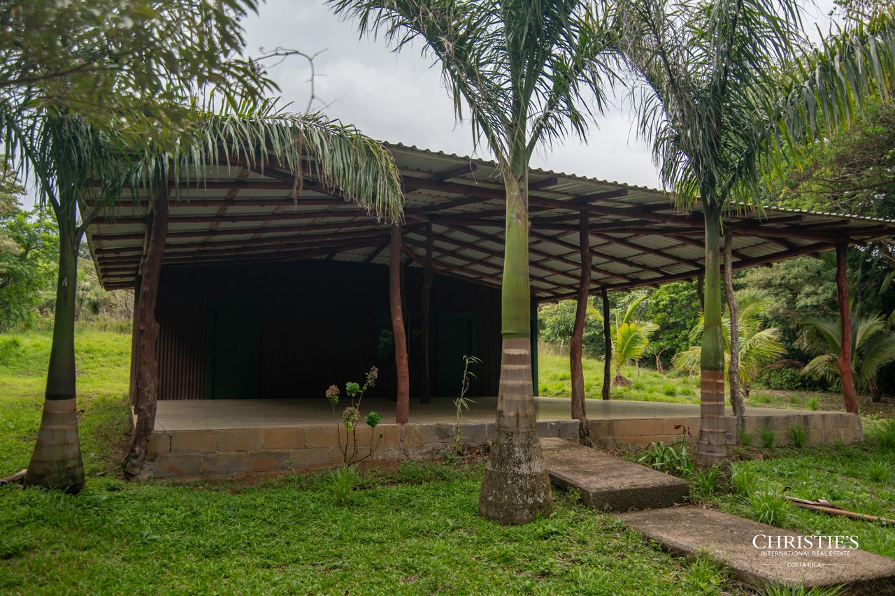 Origins Mineral: A Rare Landholding in Guanacaste’s Volcanic Highlands