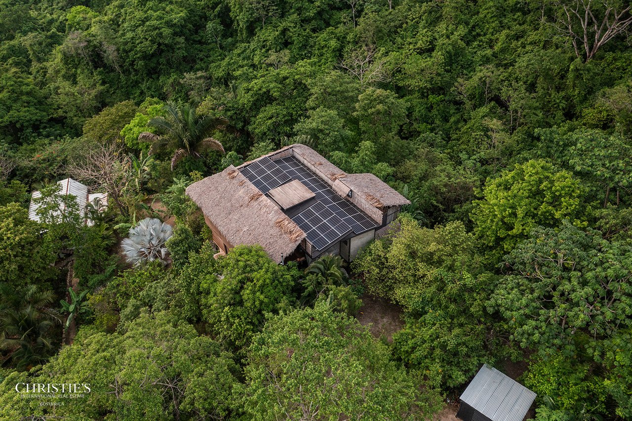Villa Animales – Luxury Jungle Sanctuary
