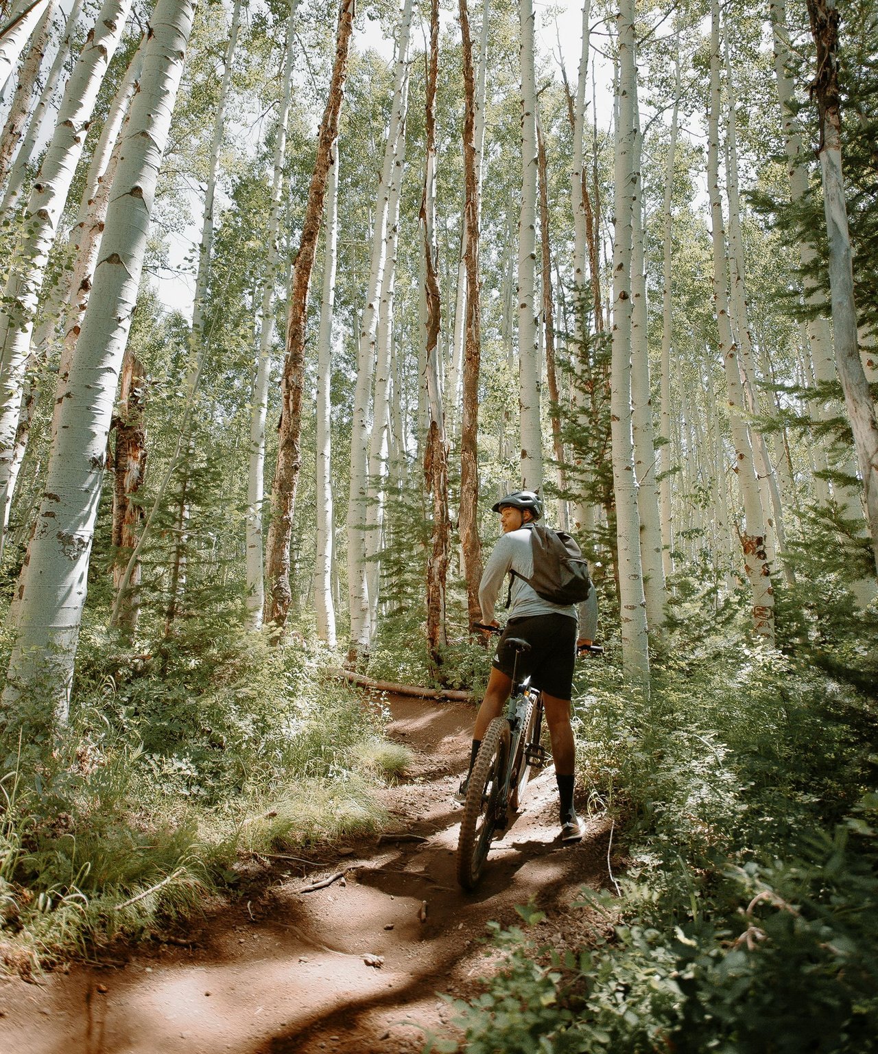 Mountain biker riding a dirt trail through a sunlit aspen forest.