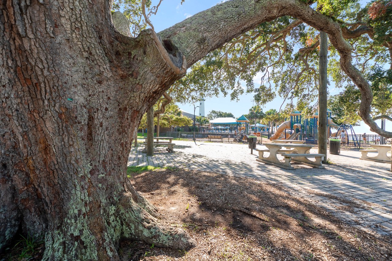Mid-South St. Simons Island, Georgia