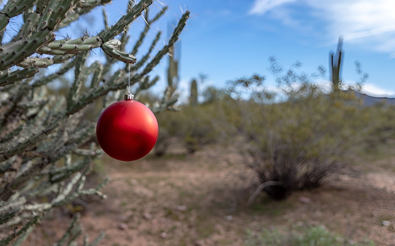 Tips for Holiday Home Decorating in the Desert