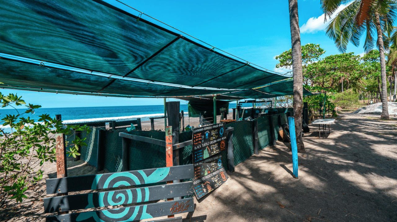 Exclusive 13 Acre Titled Beachfront Estate - Playa Junquillal