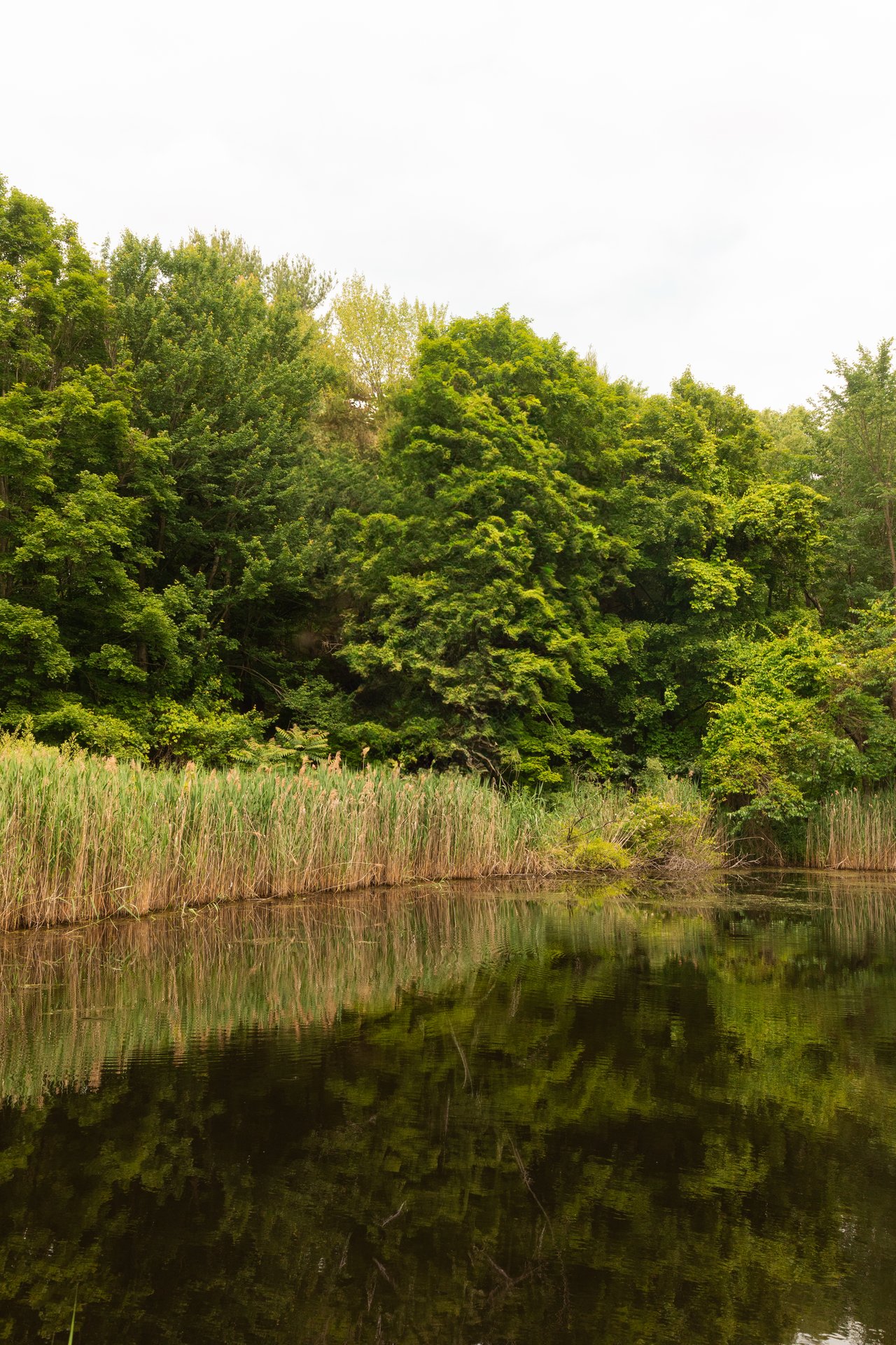 54 Fowler Lake Road, Ghent, New York