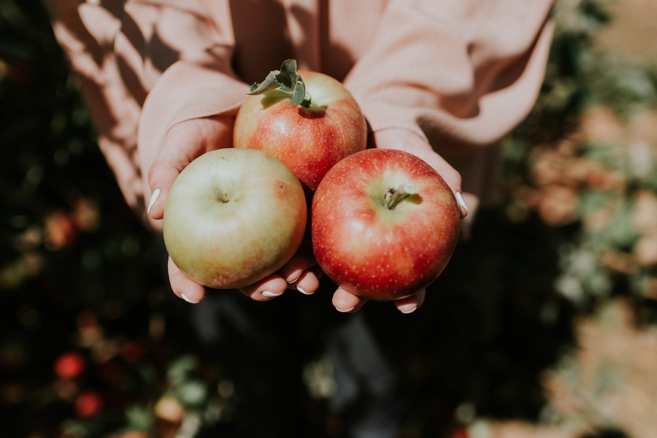 Taxes, Apples and Honey