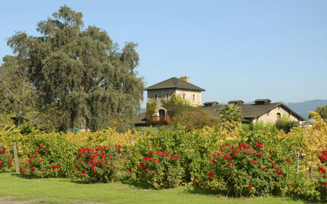 The Luxury Home Buying Process: Tips for Purchasing in Sonoma