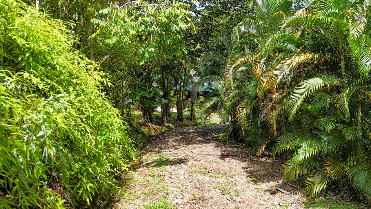 Ojochal Property for Sale – Cabins, Restaurant & 3-Bed Home