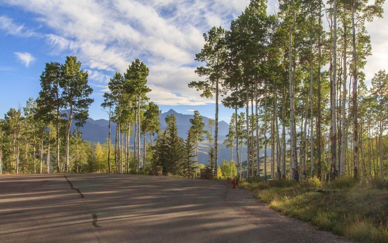  TBD Aldasoro Blvd #41