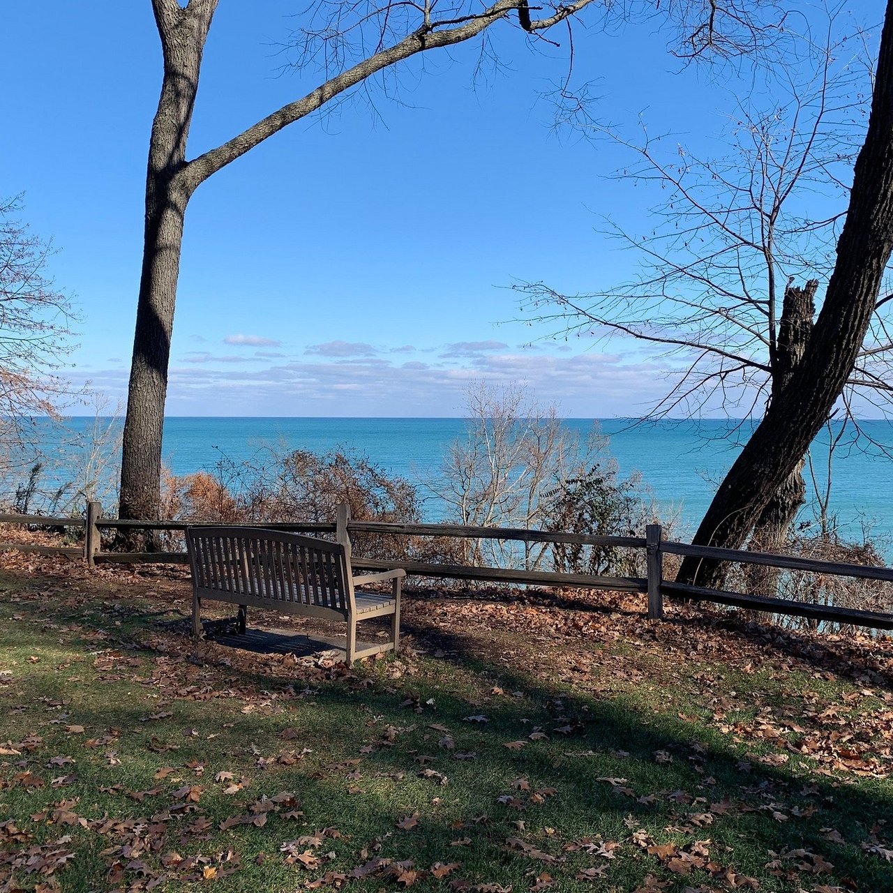 Lake Bluff