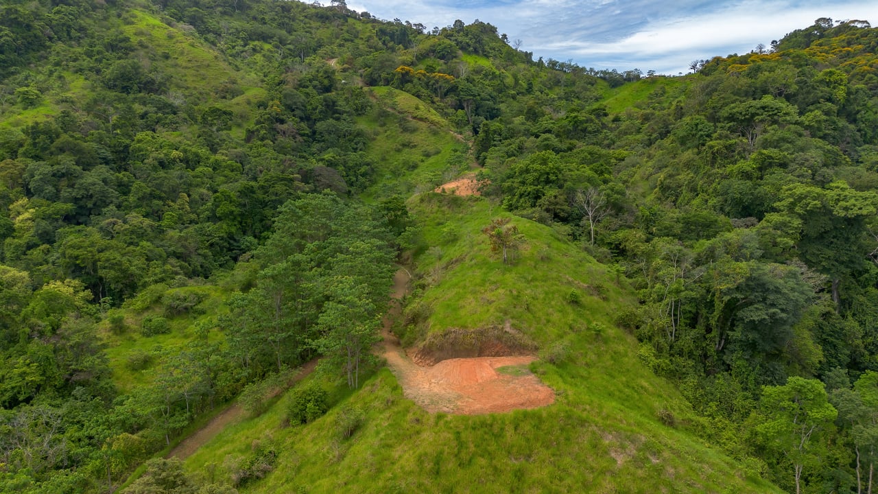 60 Hectares in Platanillo 