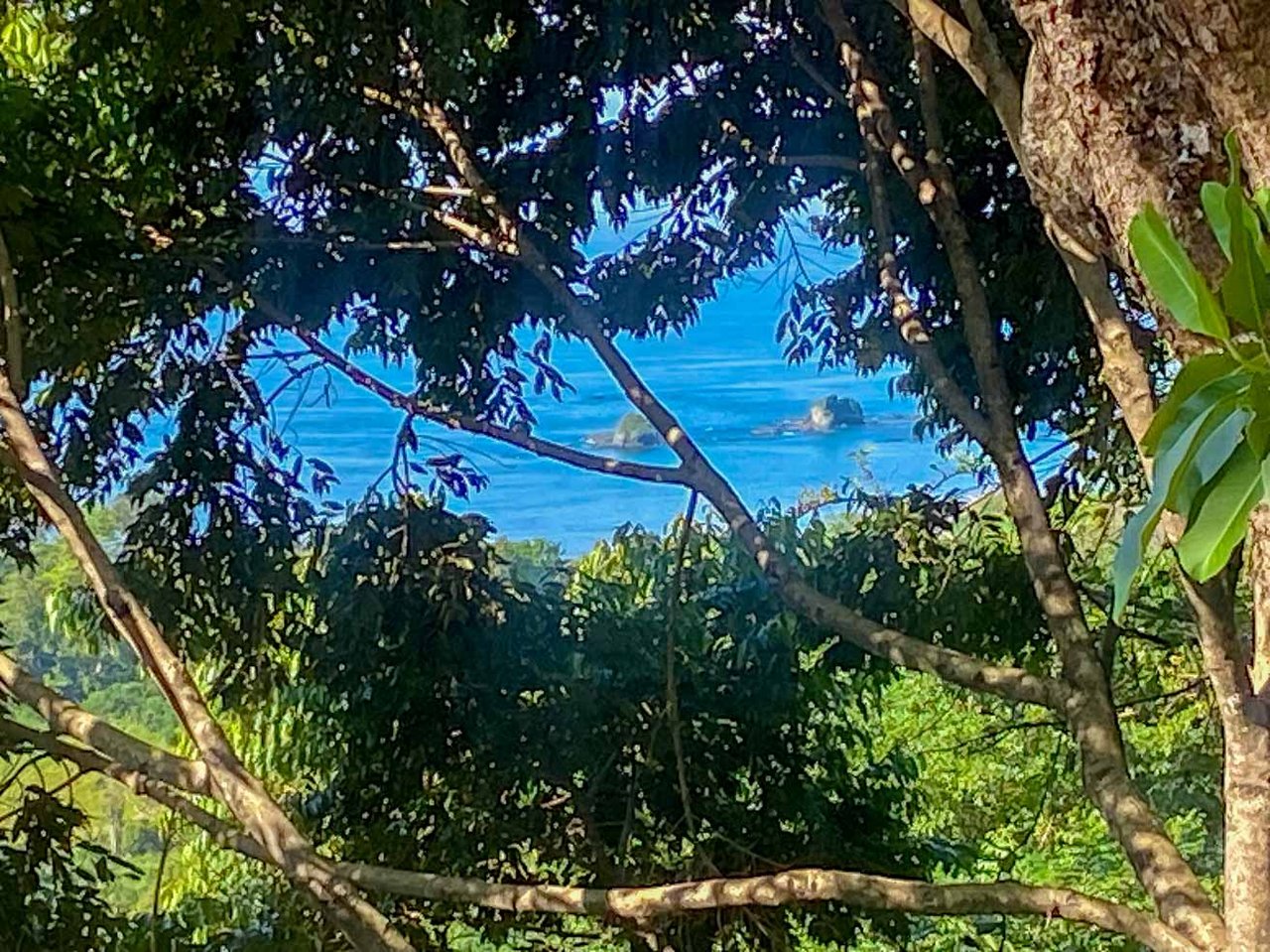 Ocean, Jungle & Mountain View Home in Ojochal | Protected Jungle Setting