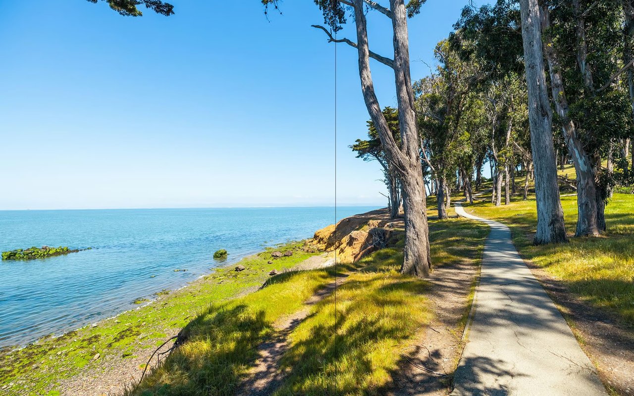 Coastal park path winding beneath tall trees beside blue water.