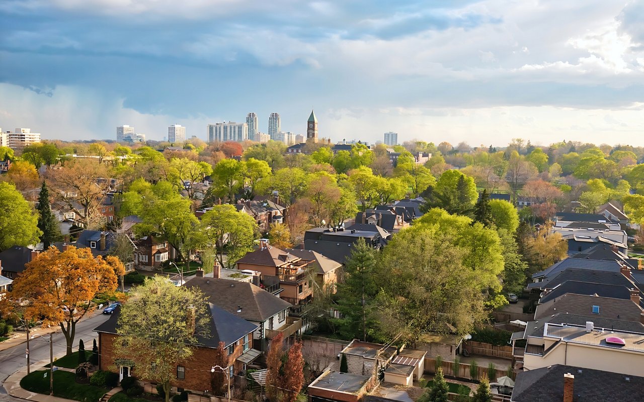 Forest Hill
