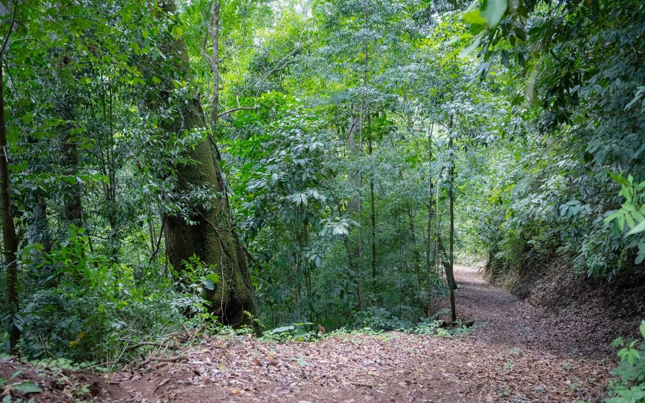 Ocean View Ridge Farm | 135-Acre Estate Near Playa Hermosa, Jacó