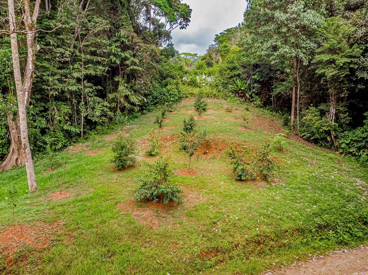 Jungle Home with Riverfront and Orchard in Ojochal Costa Rica