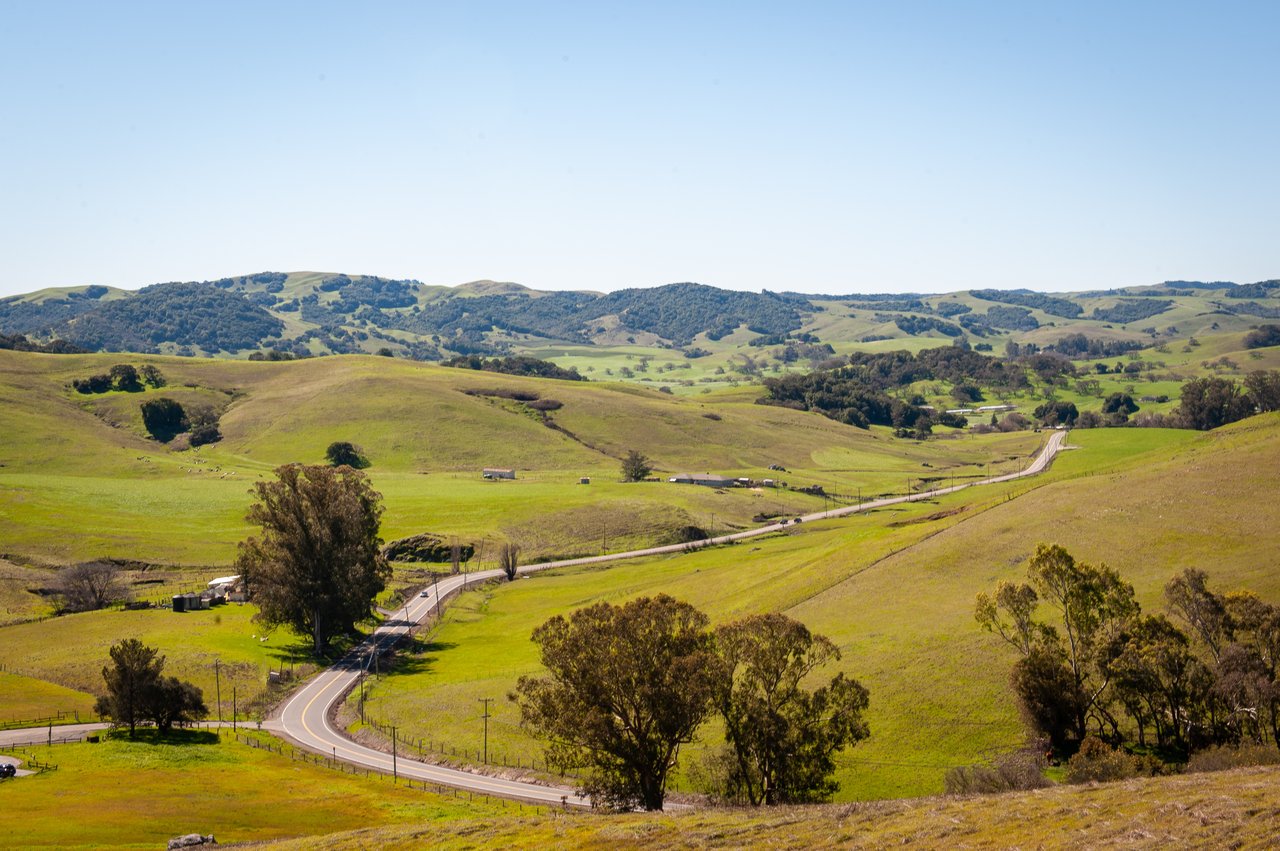 Winding road crosses rolling green hills toward distant wooded ridges beneath a clear blue sky.