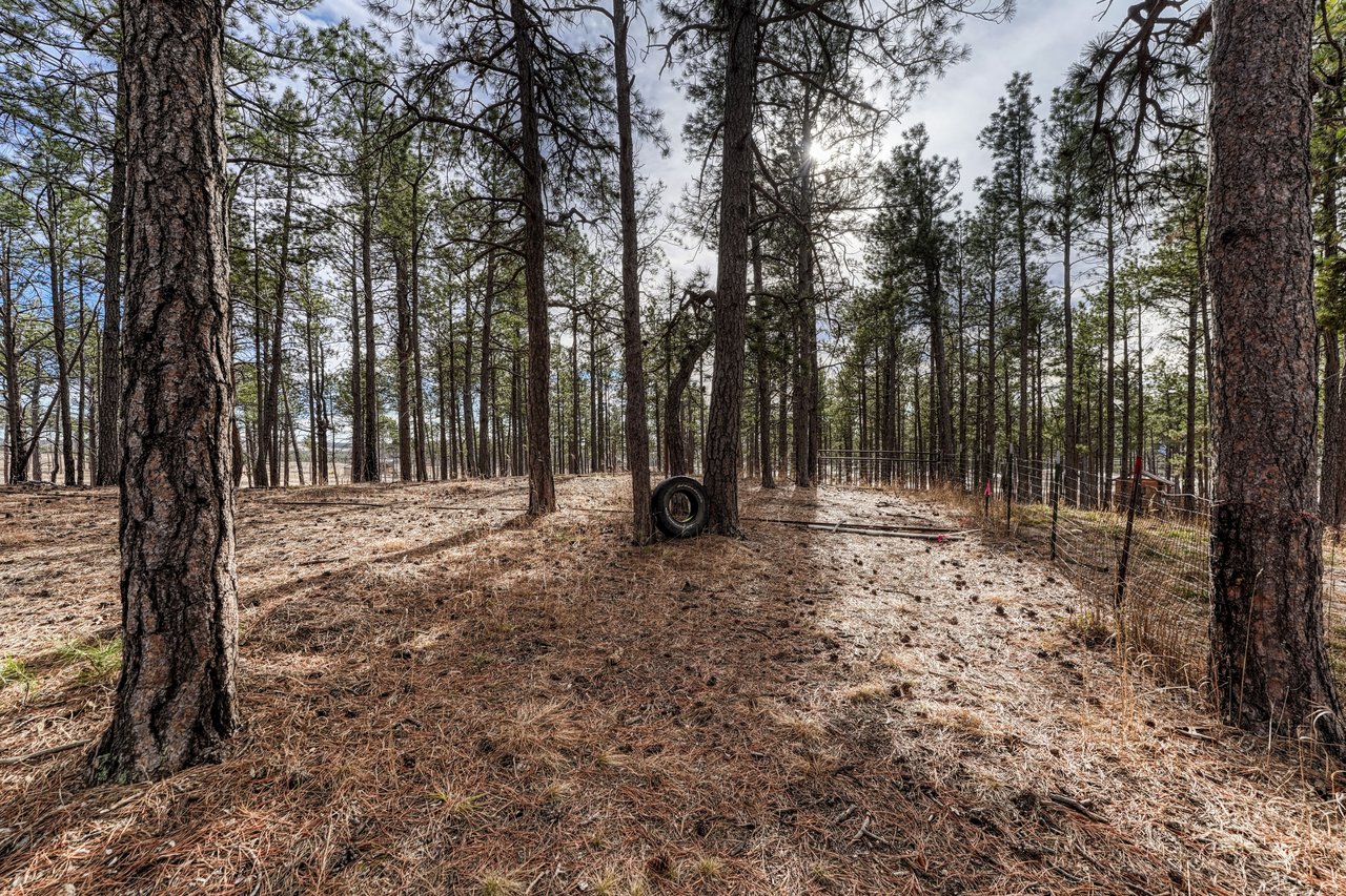 14425 Black Forest Road