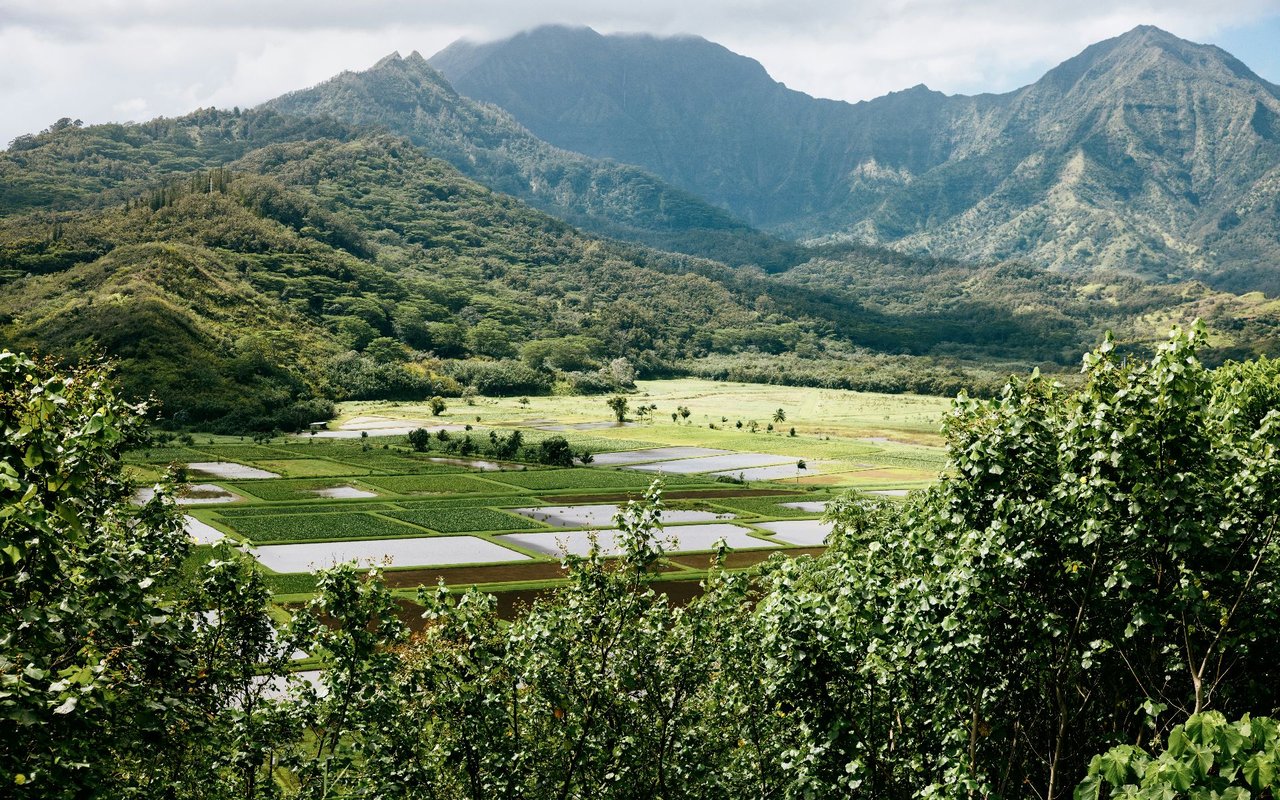 Kamuela