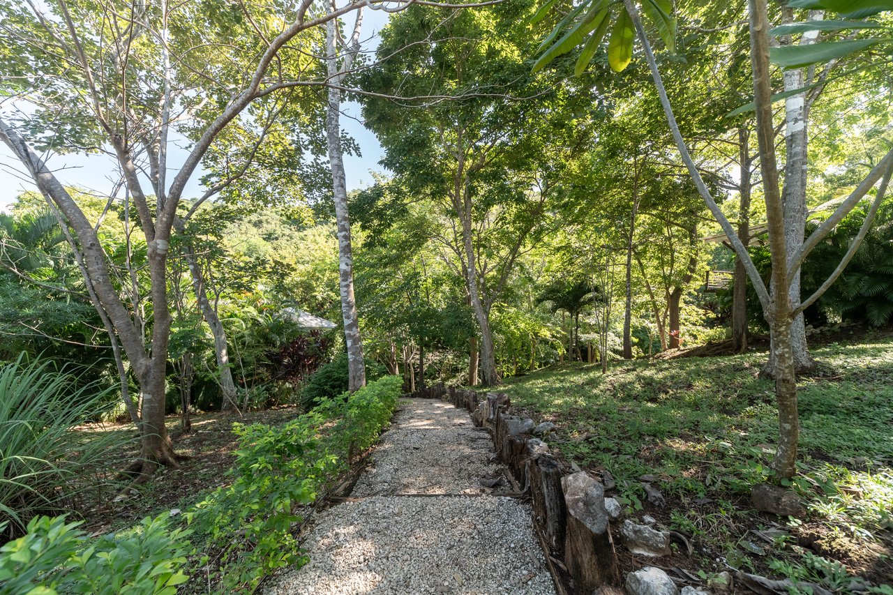 Mikado Natural Lodge | Turnkey Eco Lodge with Ocean Views & Expansion Potential in Guanacaste