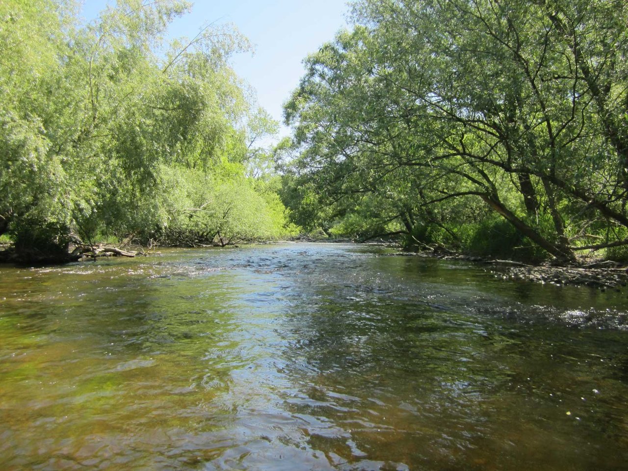 scenic Milwaukee River Grafton