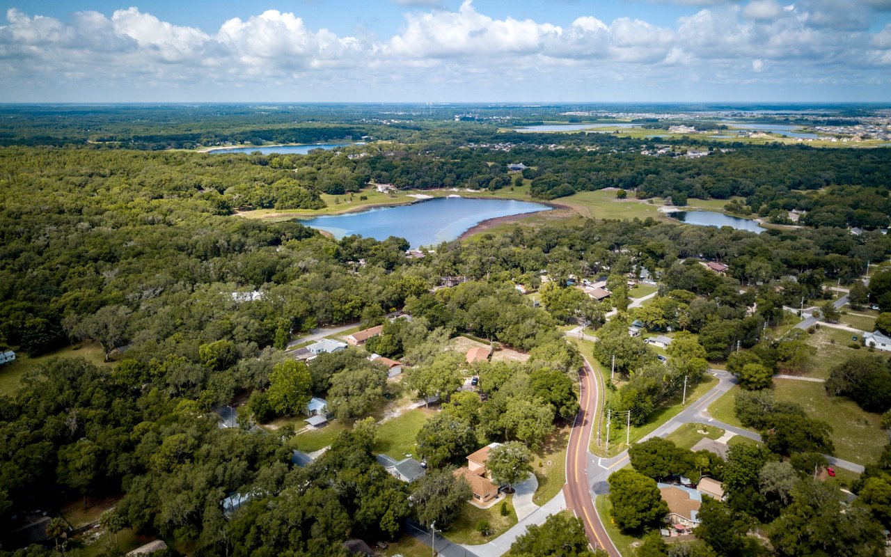 Meadow Woods
