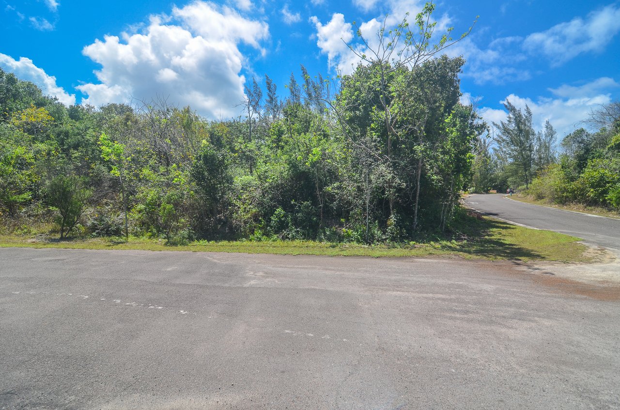 Lot #69 Lyford Hills