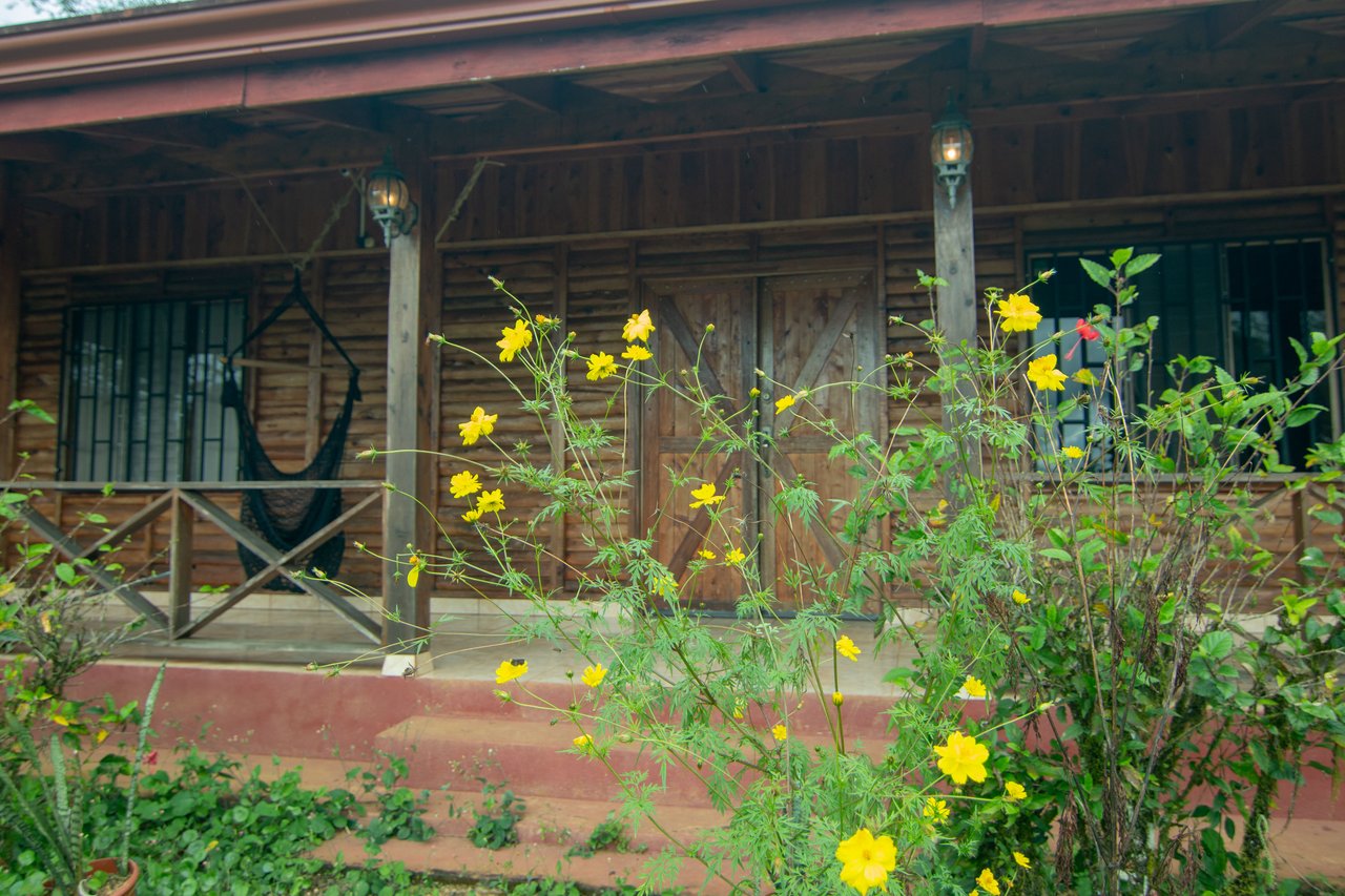 Sustainable Sanctuary: Wooden Farm House, 3 Acres + Food Forest