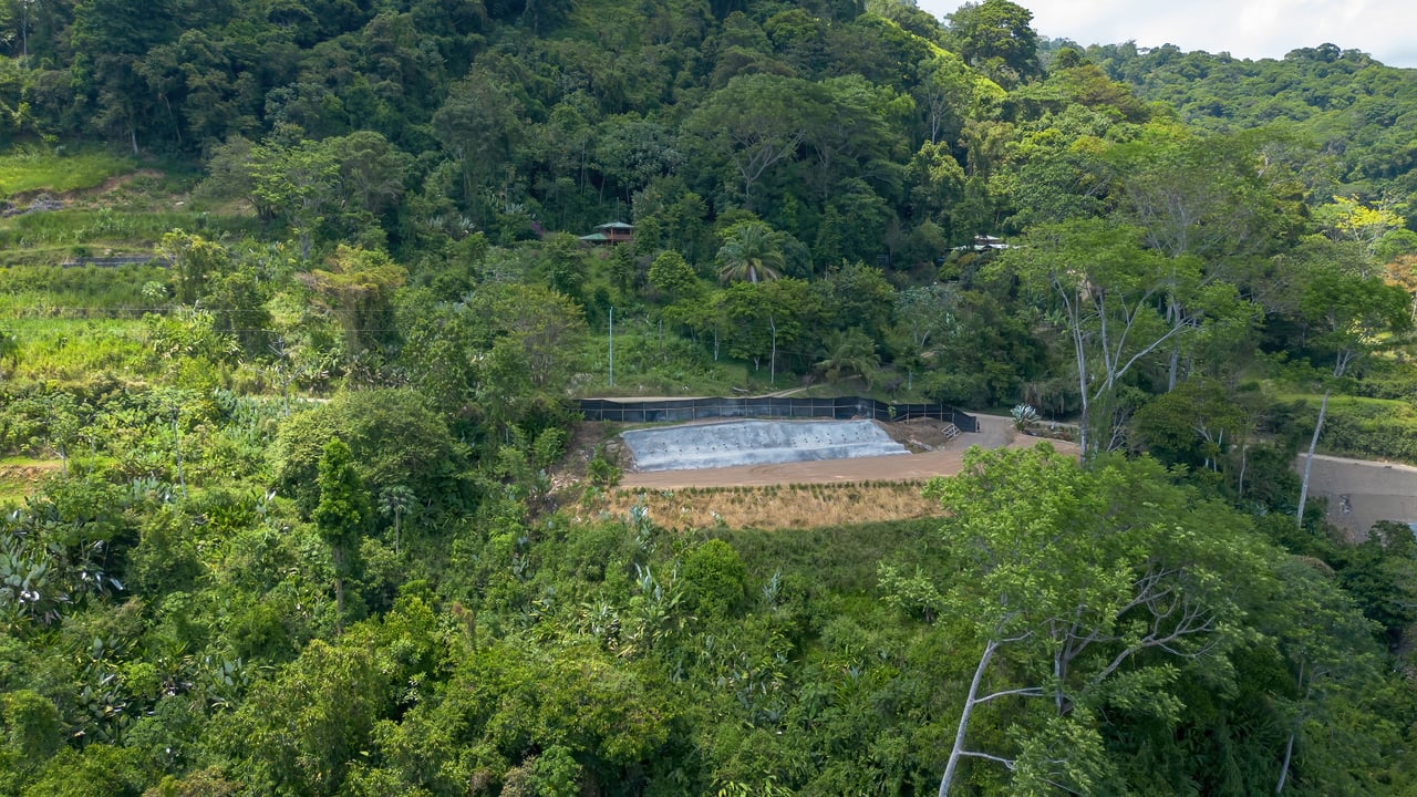 In-Demand 2.3-Acre Ocean View Homesite with Whale Tail Views | San Josecito