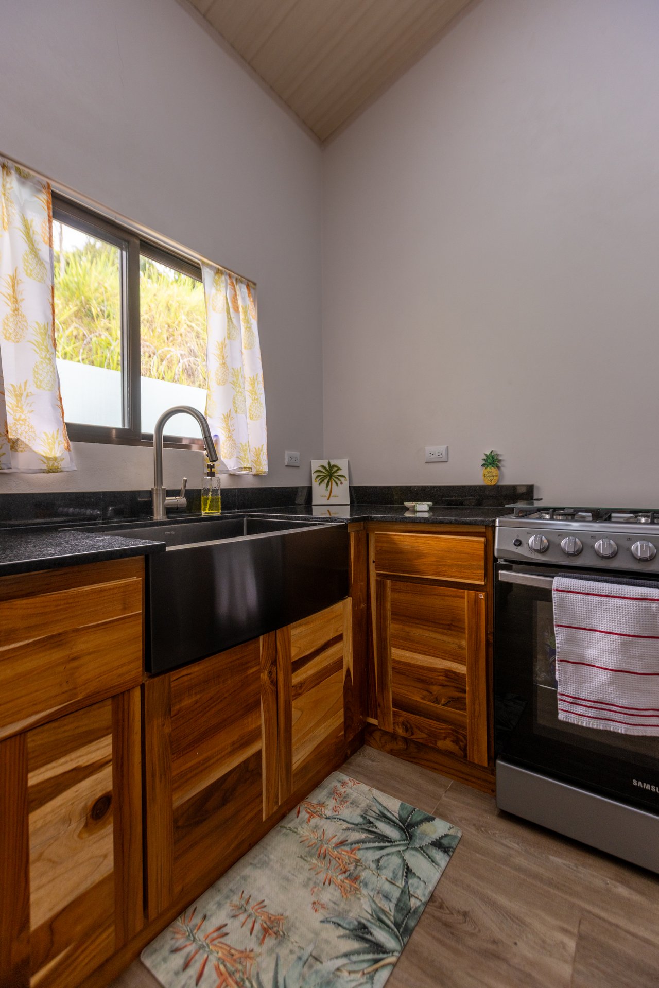 Turnkey Modern Home Near Quepos Marina – Move-In Ready! 2BDR&2BATHS