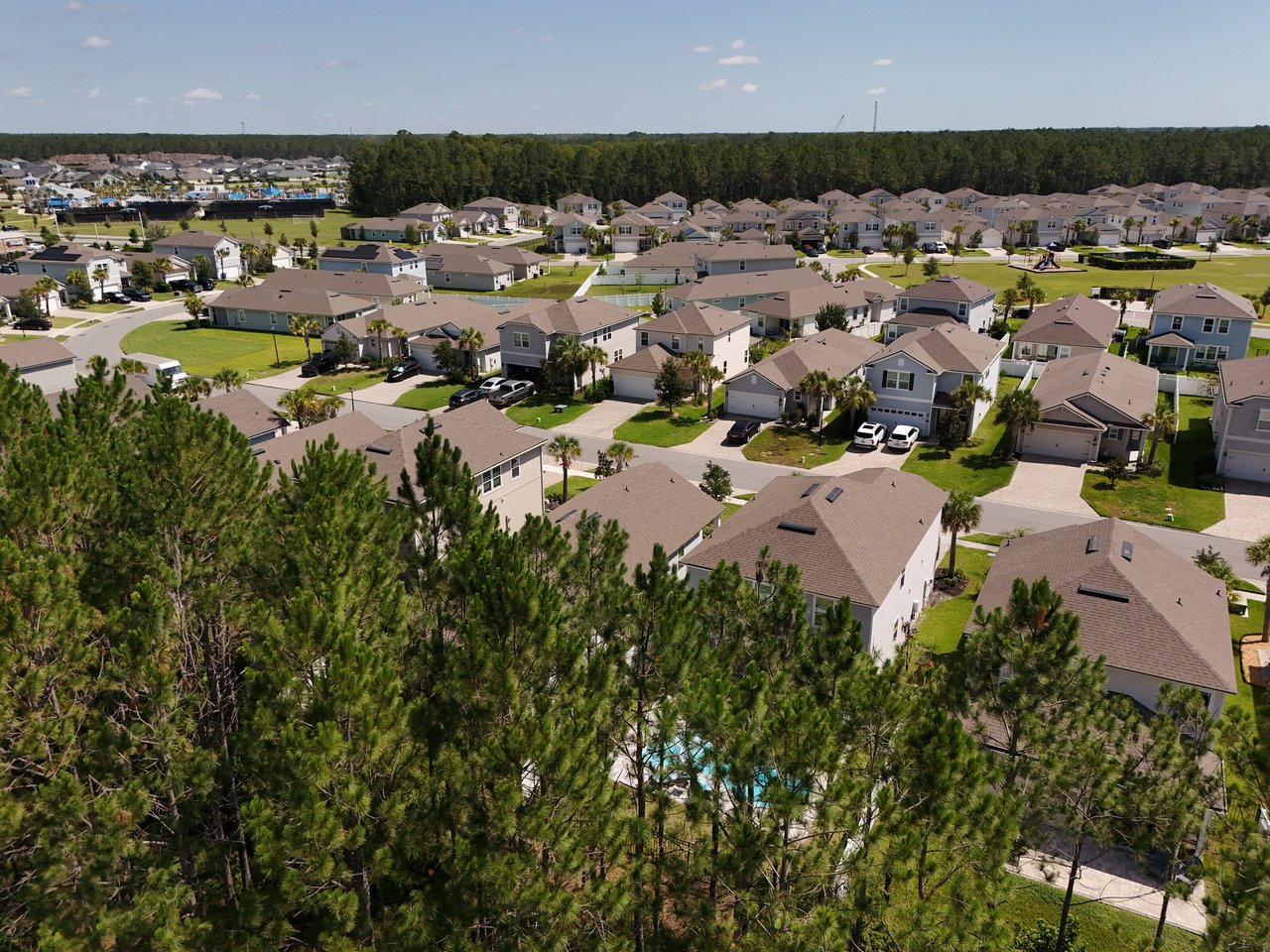 Aerial view of a suburban neighborhood with rows of homes beside a wooded area.