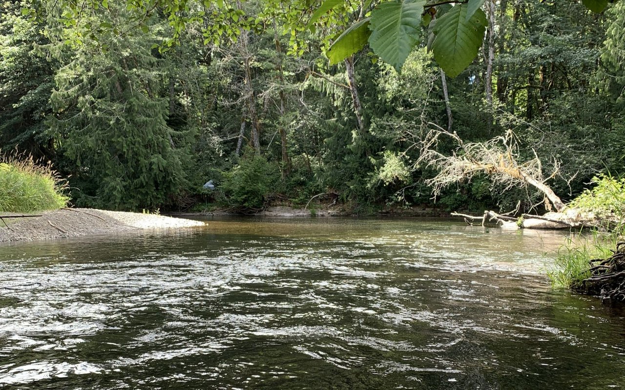 Quilcene