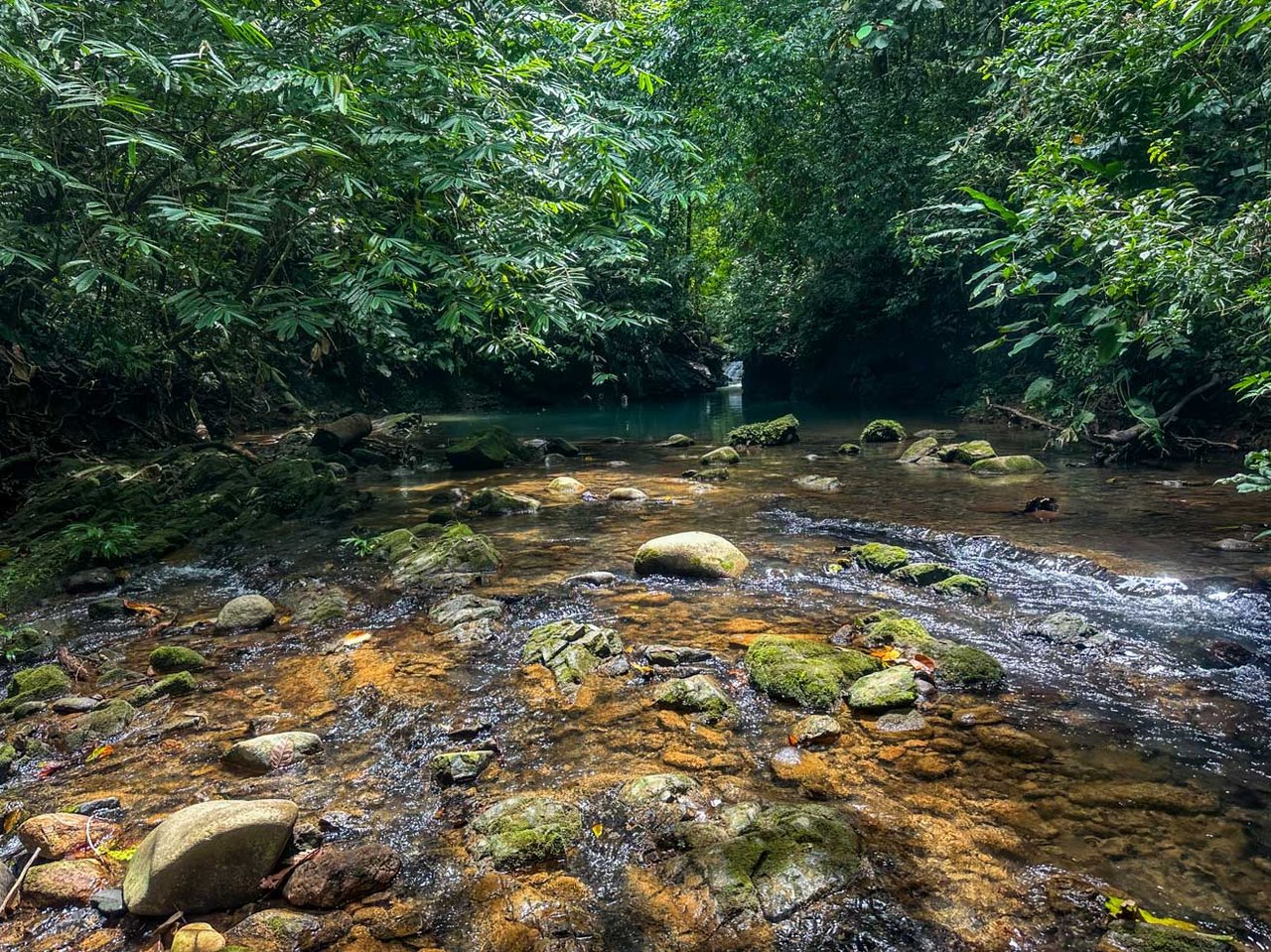 Jungle Home with Riverfront and Orchard in Ojochal Costa Rica