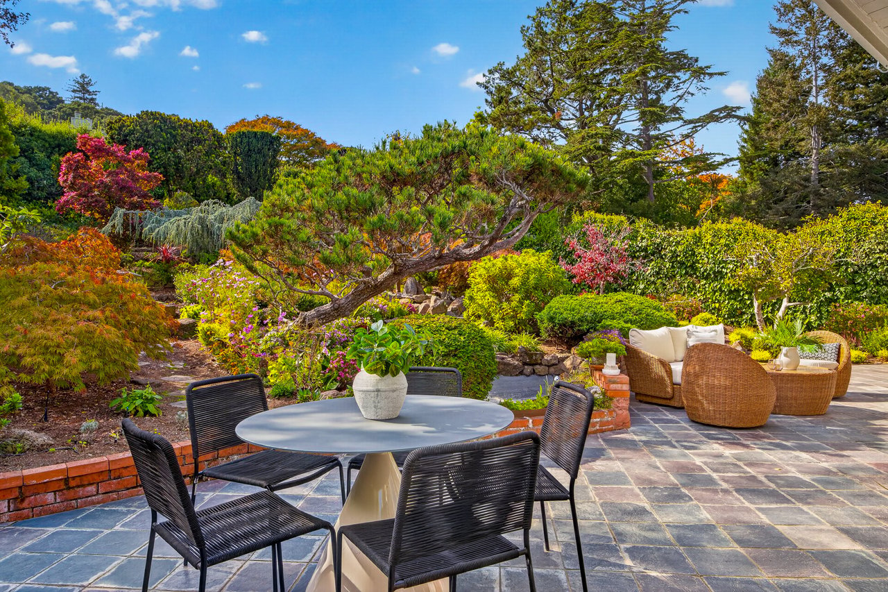 Belvedere Gem on an Incredible Lot
