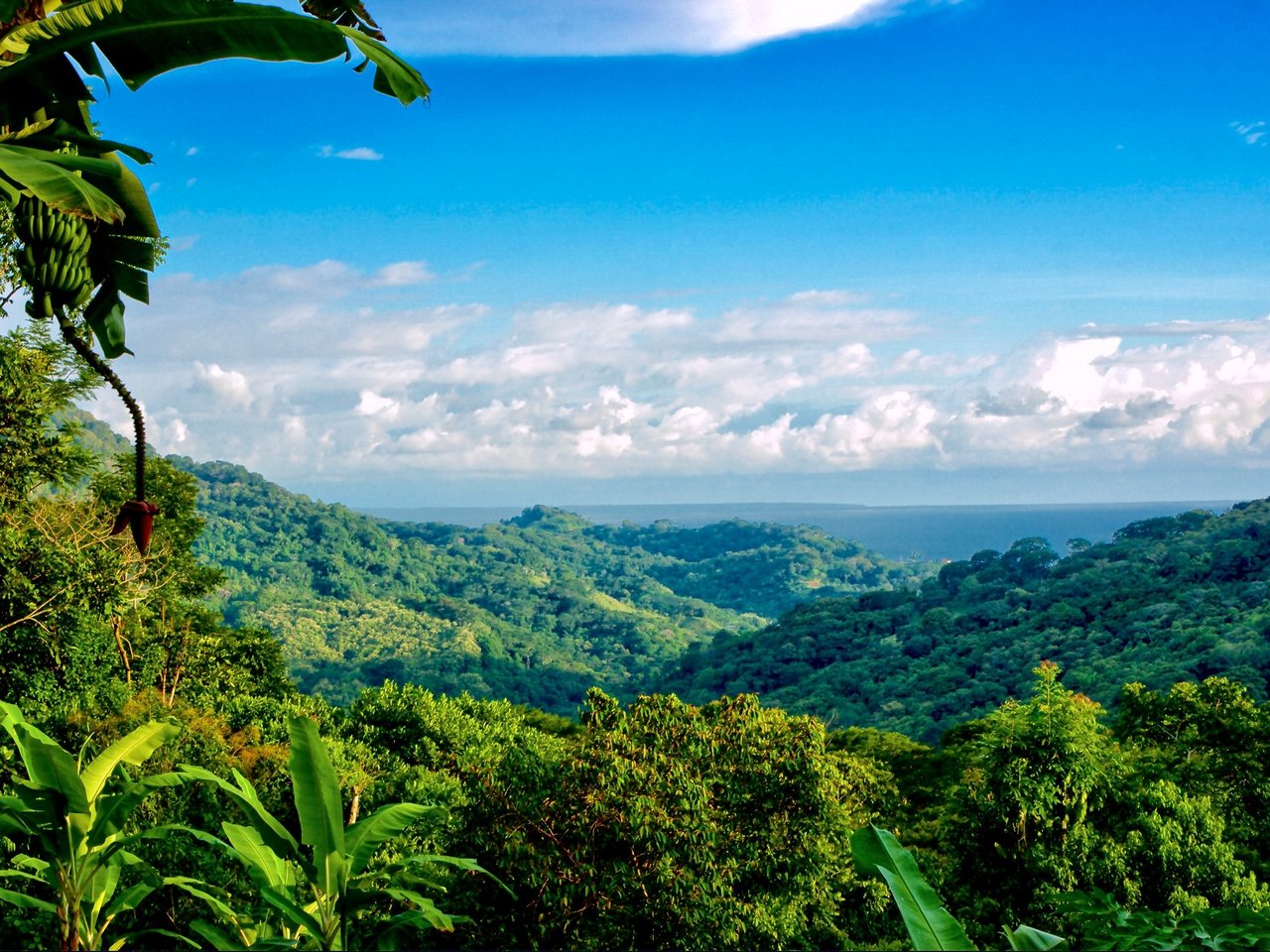 2.35 ACRES- 2 Bedroom Colorful Jungle Home With Ocean Views, Privacy, Room To Build More, Only 10 Min To Dominical!!!