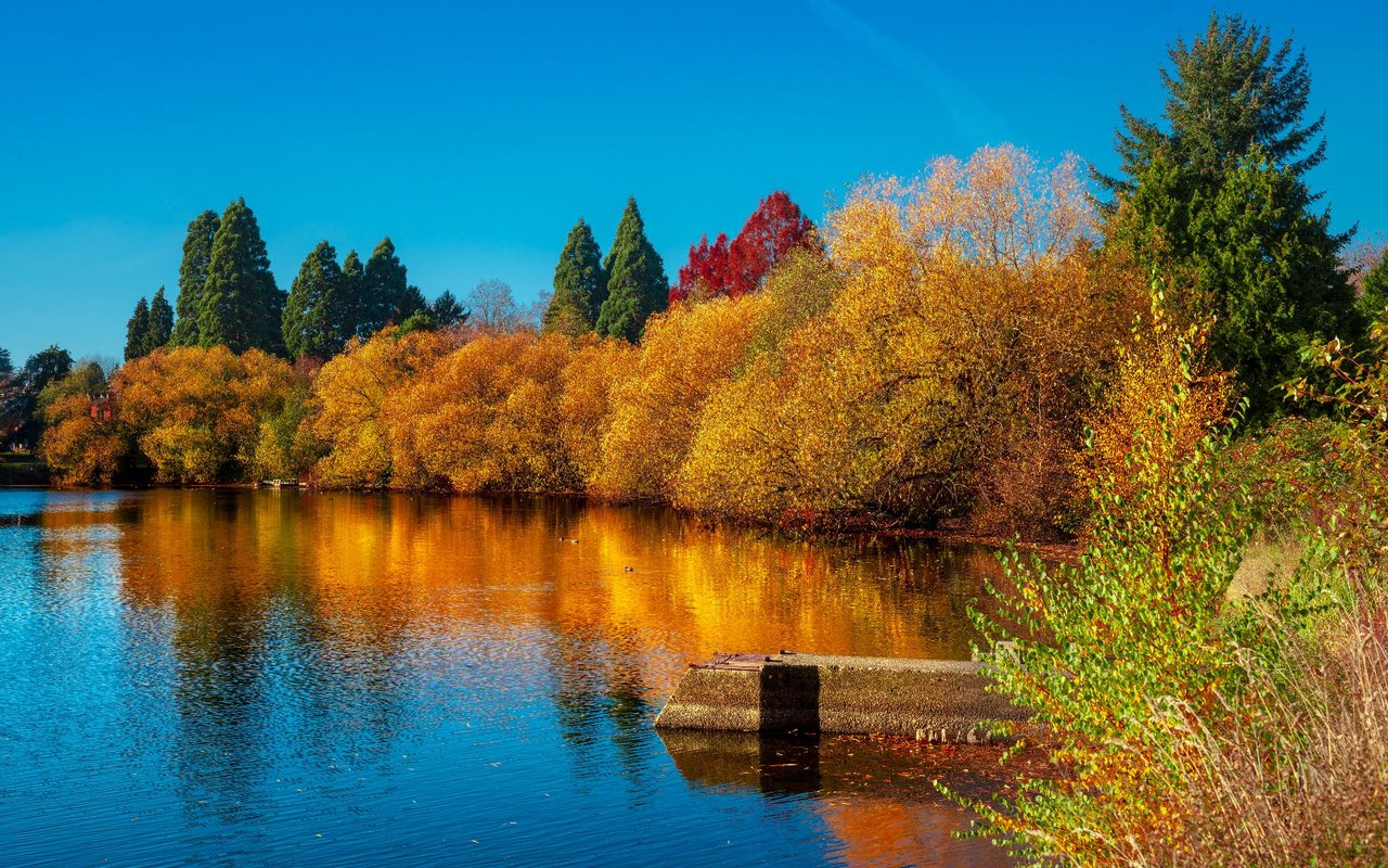 Green Lake