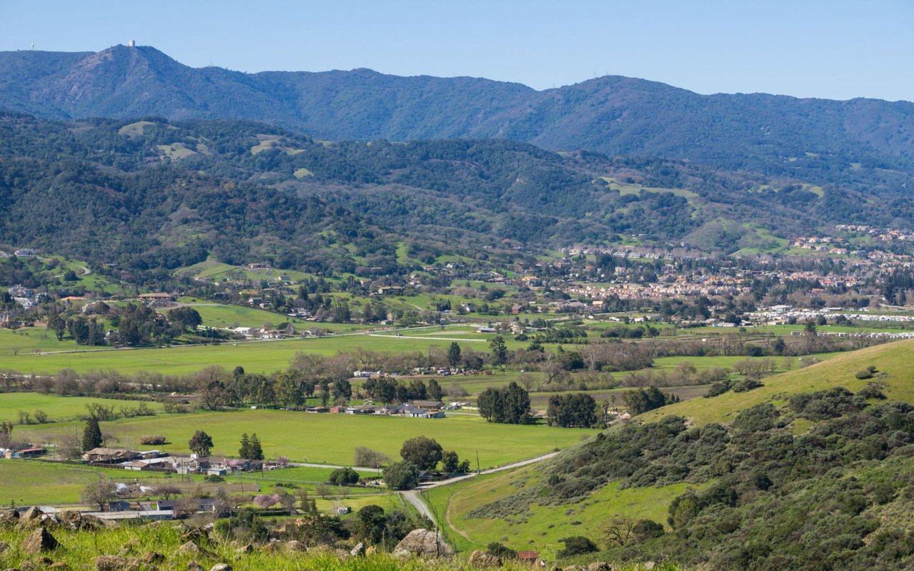 Santa Teresa