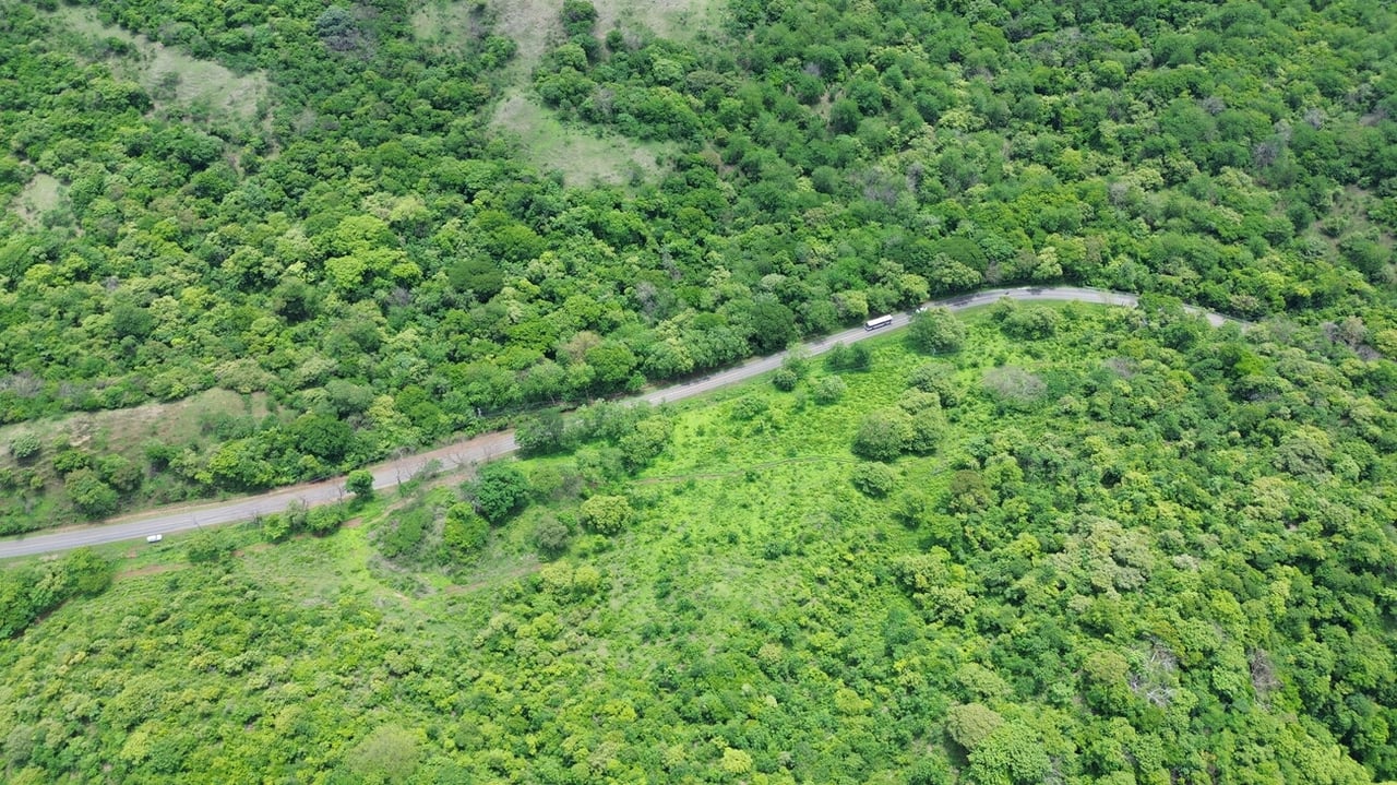 MAIN ROAD PARCEL - COYOLITO 
