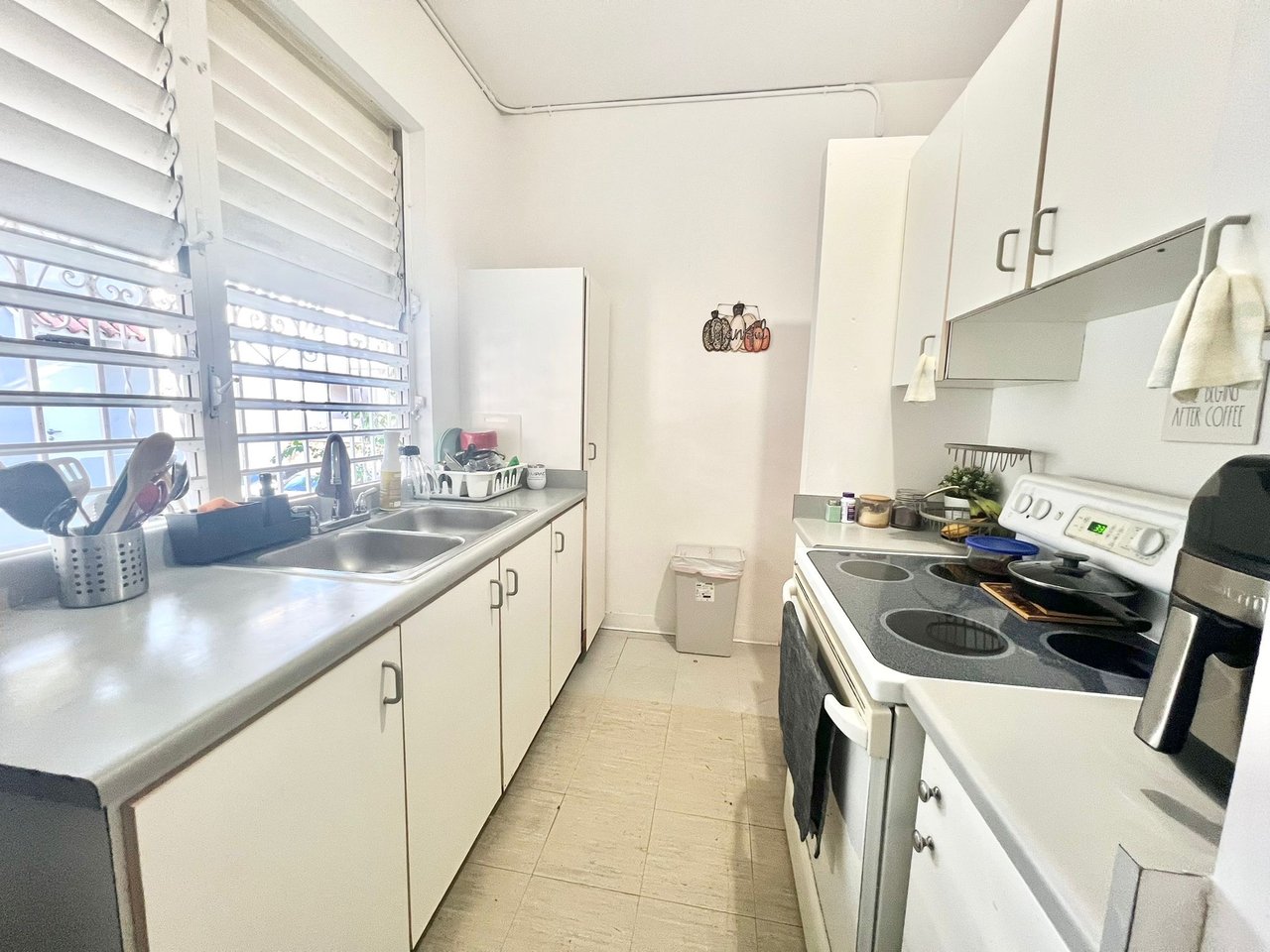 1410 Americo Salas St. | San Juan