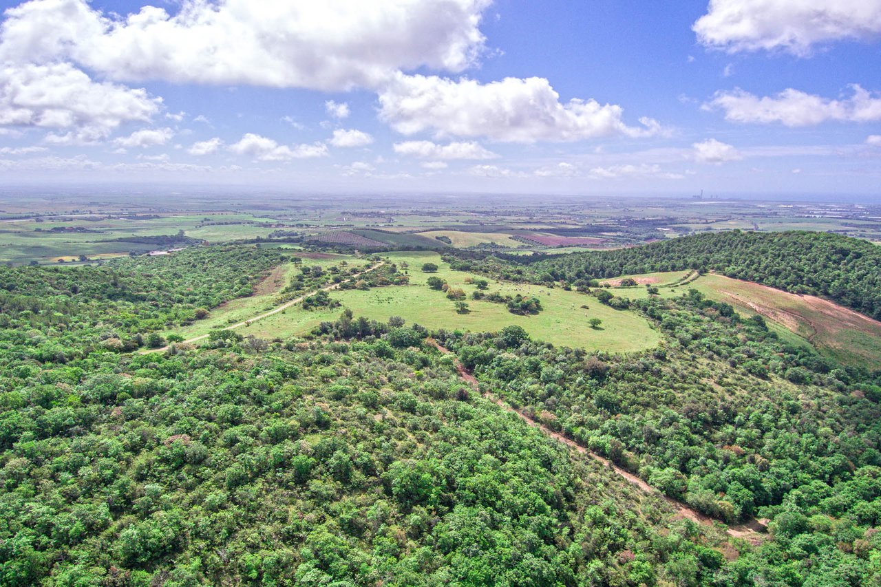 Hunting Reserve - Capalbio