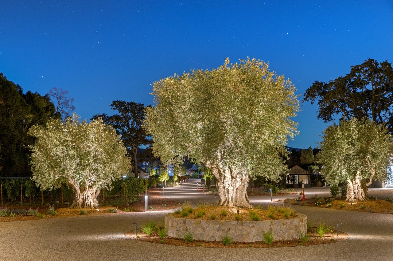 World Class Napa Valley Compound