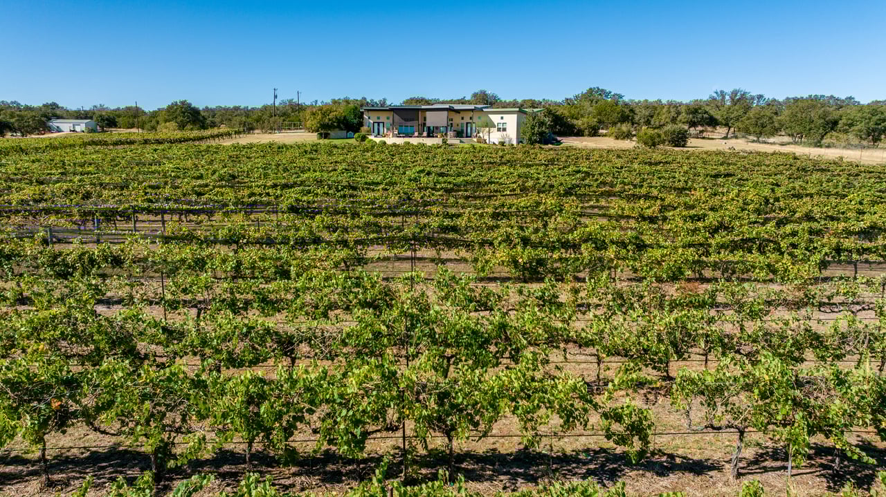 Round Mountain Vineyard