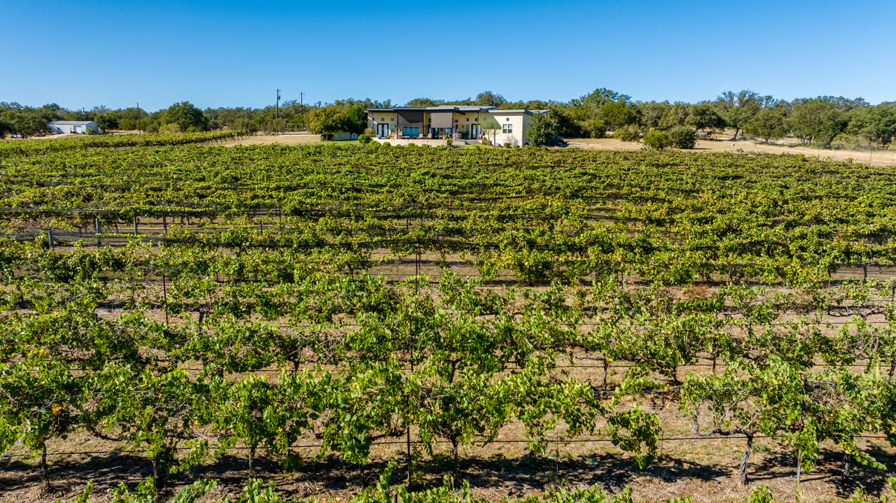 Round Mountain Vineyard