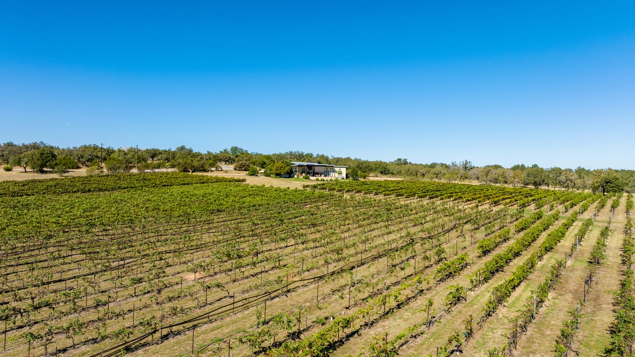 Round Mountain Vineyard