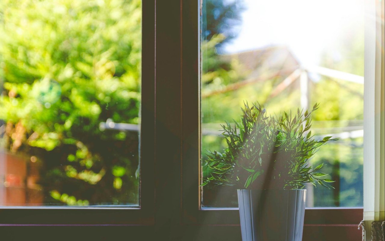 5 Benefits of Owning a Home with Natural Light