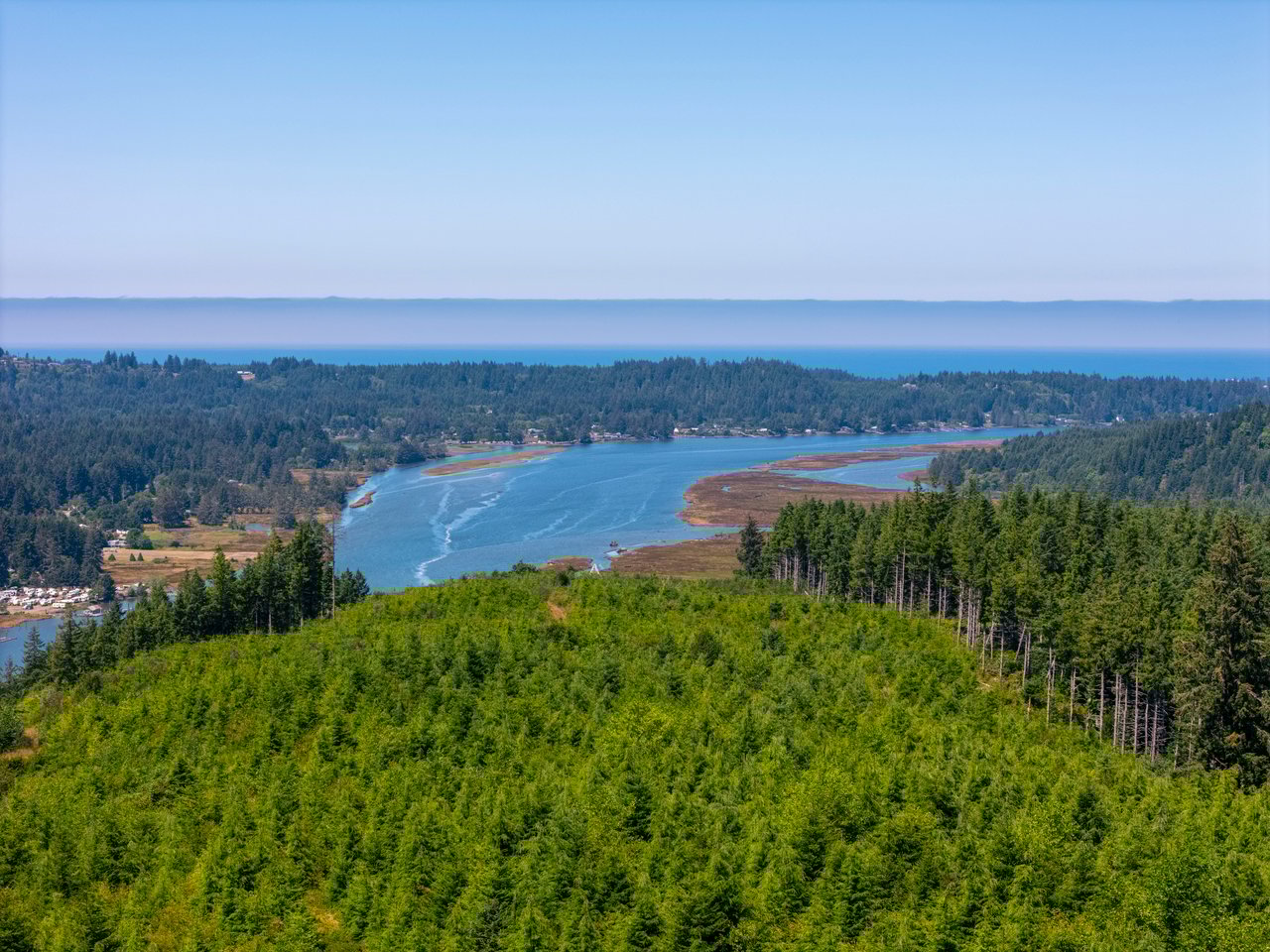 Alsea Estuary Forestland