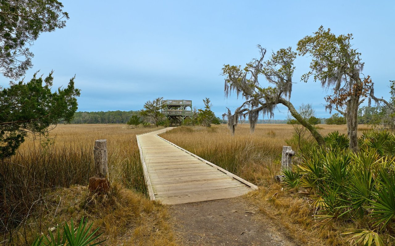 Skidaway Island