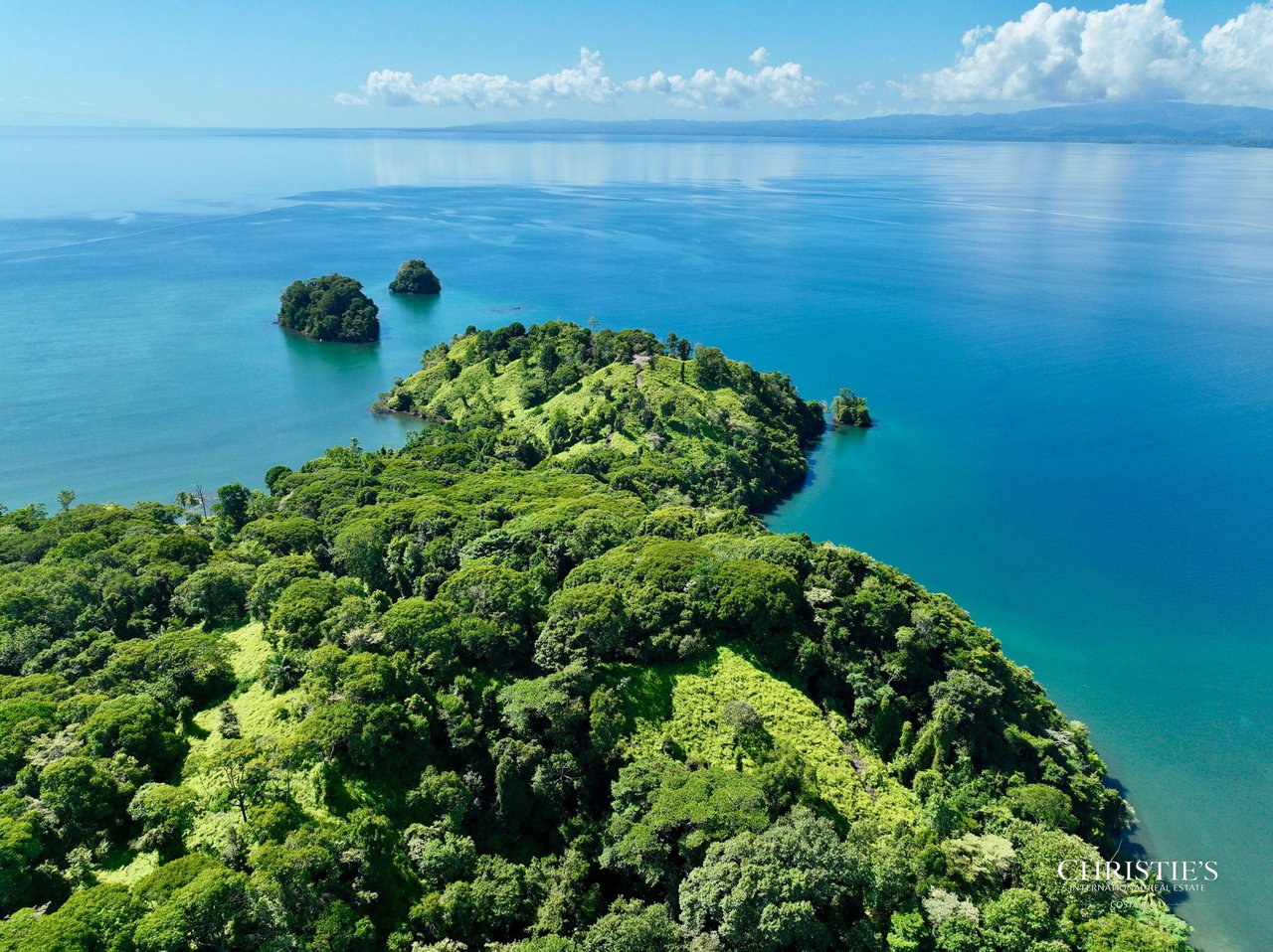 Jungle Islands — Los Mogos