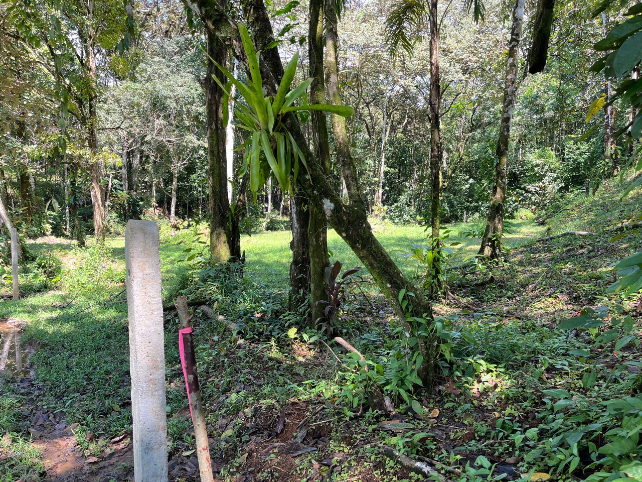 Tortuga Abajo Lot, Just before Ojochal.