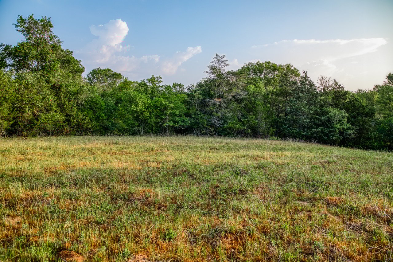Revival Ranch TX