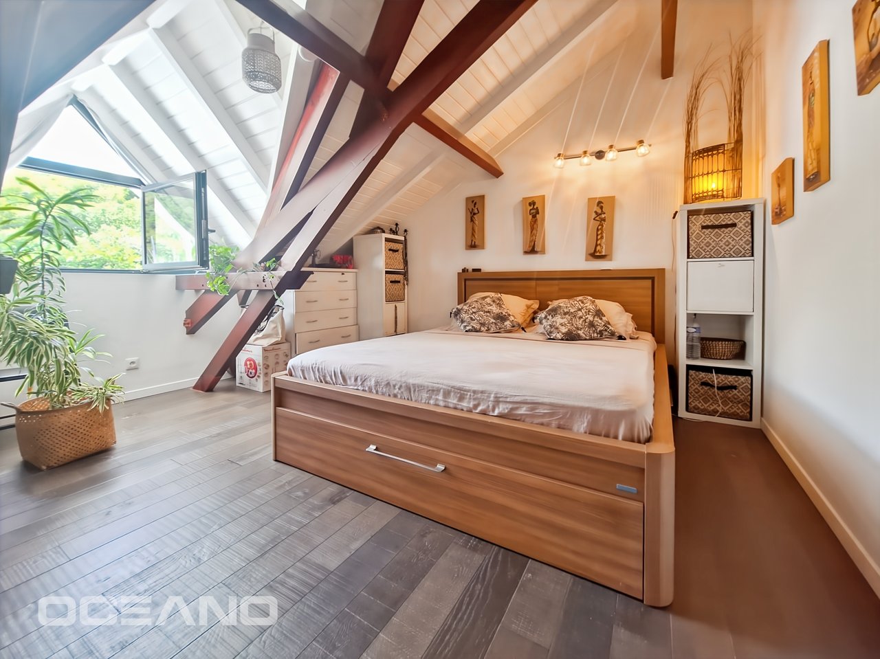 2 bedrooms apartment - Anse Marcel