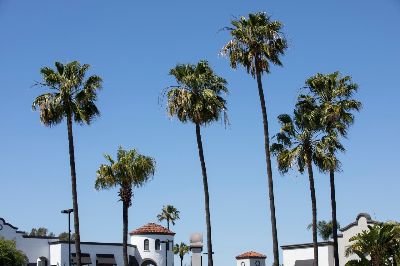 Costa Mesa 